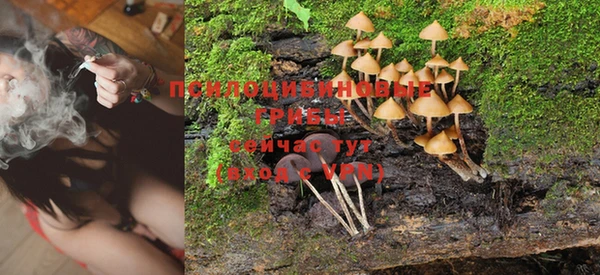 ГАЛЛЮЦИНОГЕННЫЕ ГРИБЫ Баксан