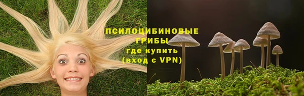 mix Белокуриха