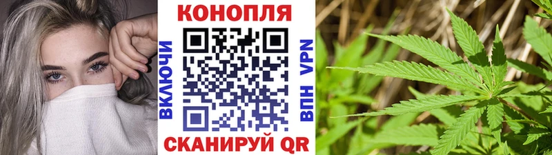 Бошки марихуана White Widow  mega ONION  Краснозаводск  сколько стоит 